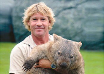 Happy birthday steve irwin, what a legend 