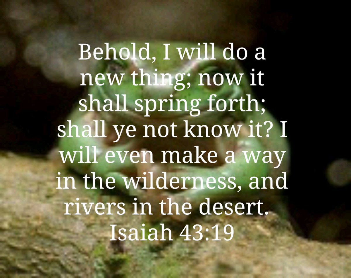 Benjamin Martin tweet media