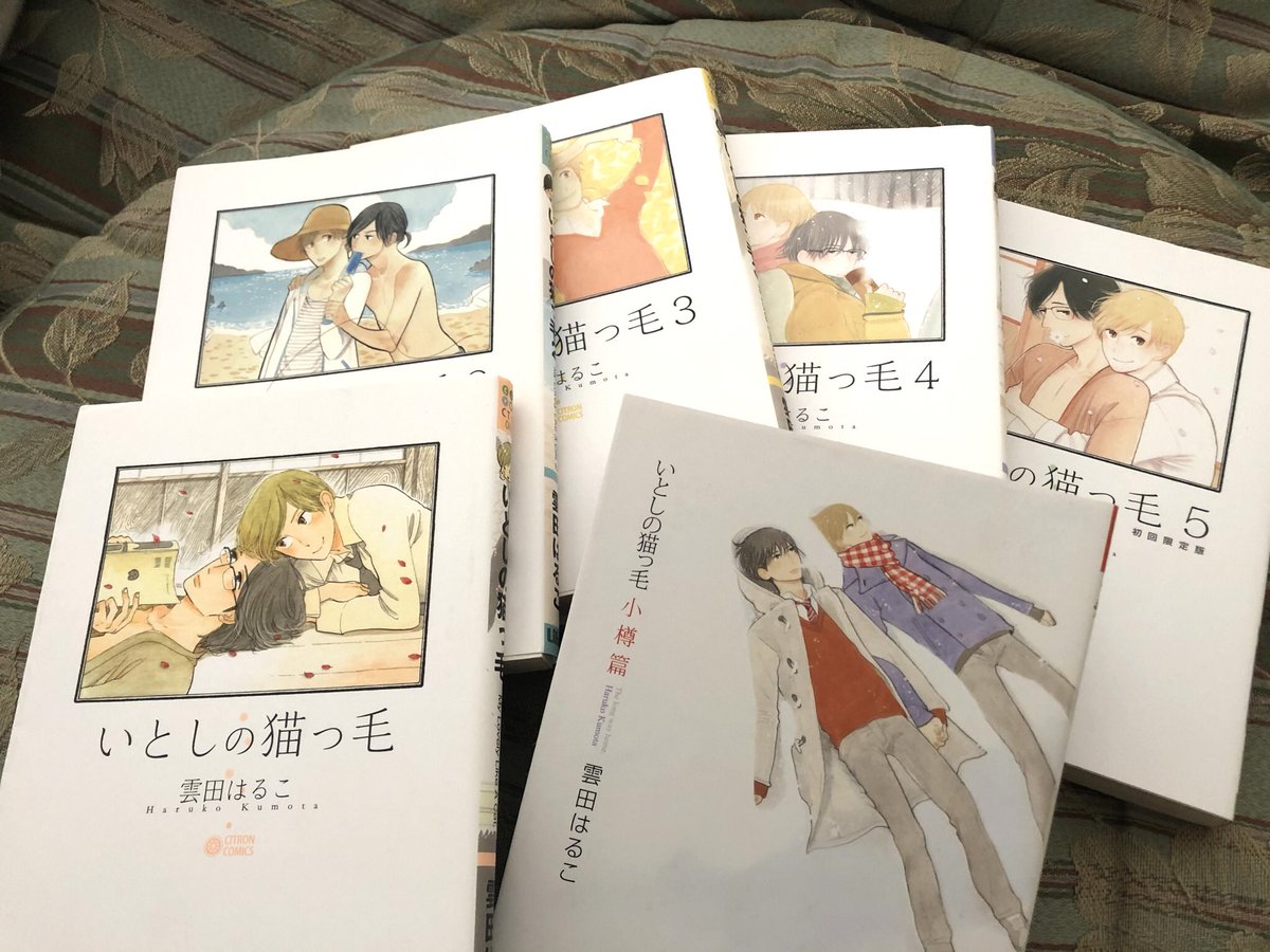 いとしの猫っ毛 Twitter Search Twitter