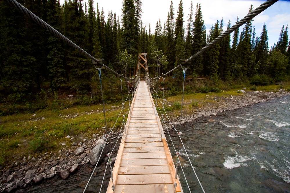 NatlParkService's tweet photo. National parks are home to engineering marvels—bridges, roadways, trails, monuments, and visitor centers—in places that required inspiring creativity. Learn more at https://t.co/pa2WIRXDdp

📸A suspension bridge over a creek @DenaliNPS 
#Eweek2021 #EngineersWeek @DenSrvcCtrNPS https://t.co/LFIkyPonRQ