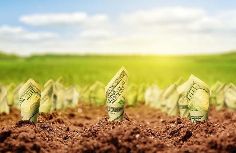 ALaVerduzco's tweet photo. Si lo que deseas es hacer #crecer tu #dinero e ir forjando tu #patrimonio y el de tu familia.
https://t.co/2TzBIZYC0R https://t.co/TAwM5cYfMI