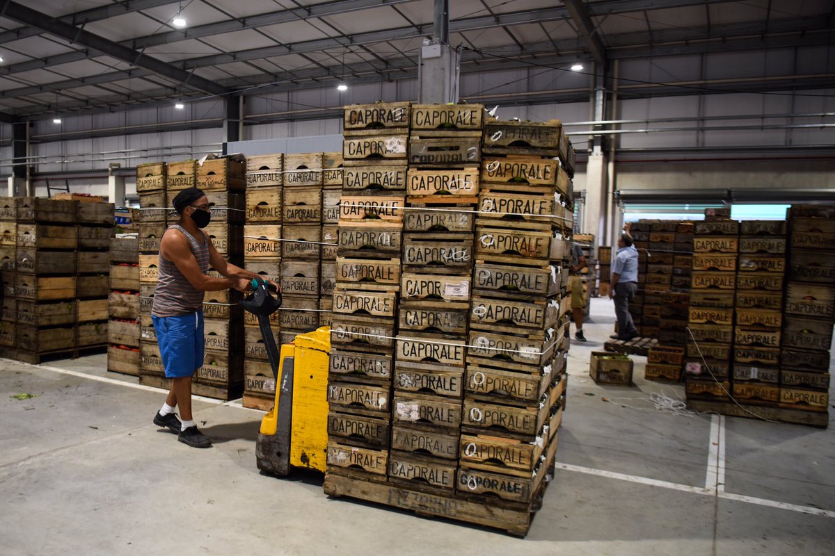 ¡El futuro está llegando! 

🍎 🥦 @UAM_Uy 🥬 🍇