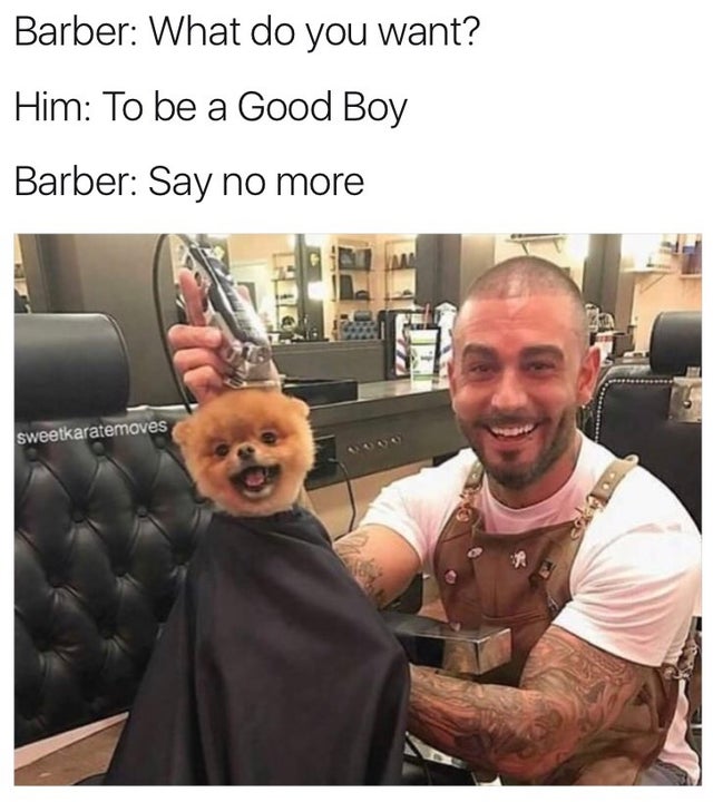 WholesomeMeme's tweet photo. https://t.co/CjeuTF8qzl