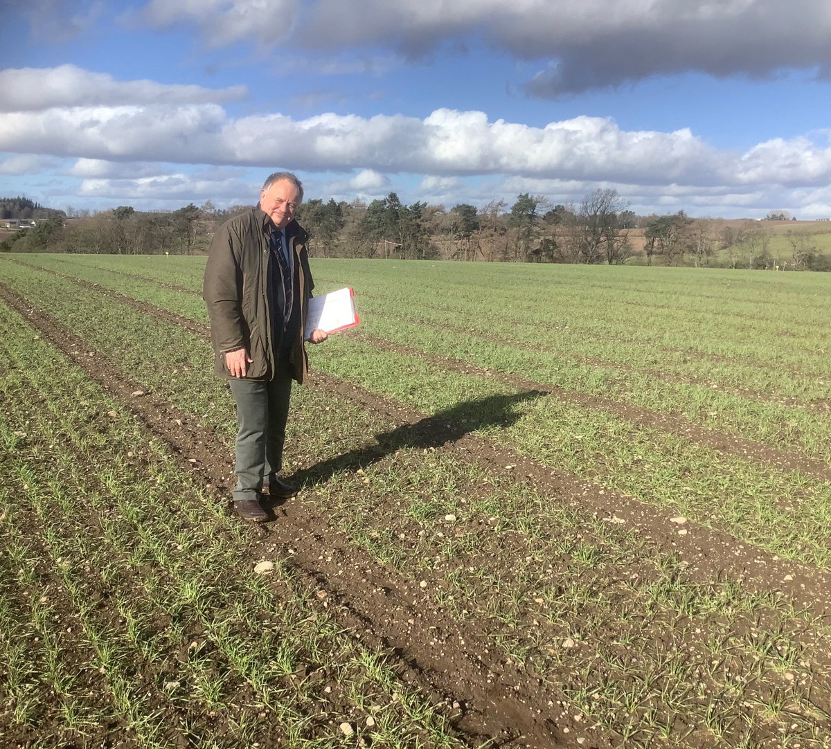 LGSeedsUK's tweet photo. Great to see LG Astronomer &amp; LG Illuminate looking so well today, at our trial site in Perthshire! 🌾👍 #wheat #trialsupdate

@Nickwal62912927 https://t.co/NVVtgSpPP1
