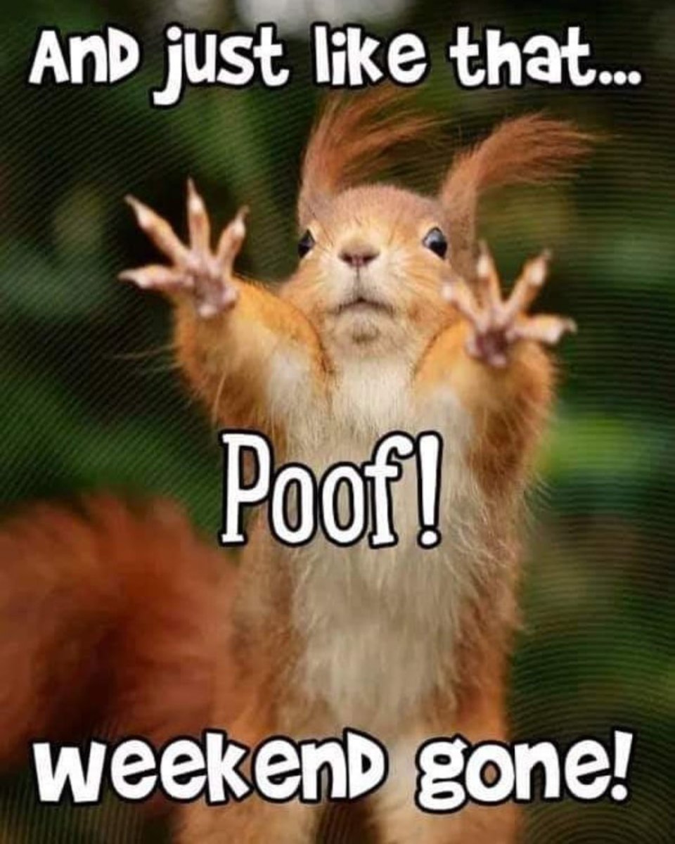 BytesVa's tweet image. The weekend may be over but its not the end of the world. Let's all continue to do our best and make this week awesome.
🐿️🐿️
#mondayquotes#resourcesforteachers#onlinelearningforkids#stemkids #learnfromhome#onlineprograms #goodbyeweekend