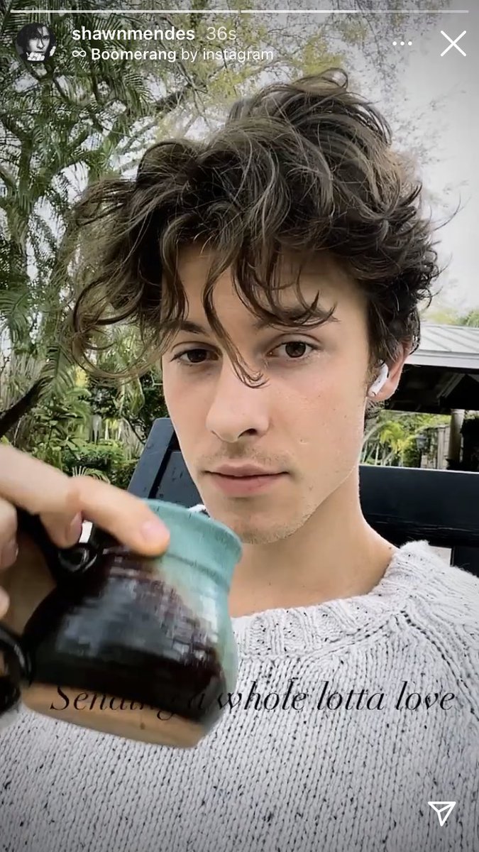 Shawn Mendes Got Real About Shaving His Hair  The Advice That Changed His  Life PHOTO  Narcity