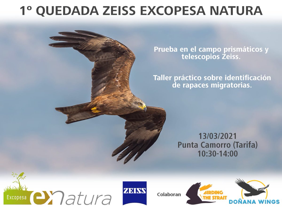 Si las condiciones lo permiten, nos vemos el 13 de Marzo en Tarifa para disfrutar de la mejor migración de rapaces con #Zeiss y <a href="/Donana_Wings/">Doñana Wings</a>. 
<a href="/ZEISSBirding/">ZEISS Birding</a> <a href="/ExcopesaNatura/">Excopesa Natura</a>