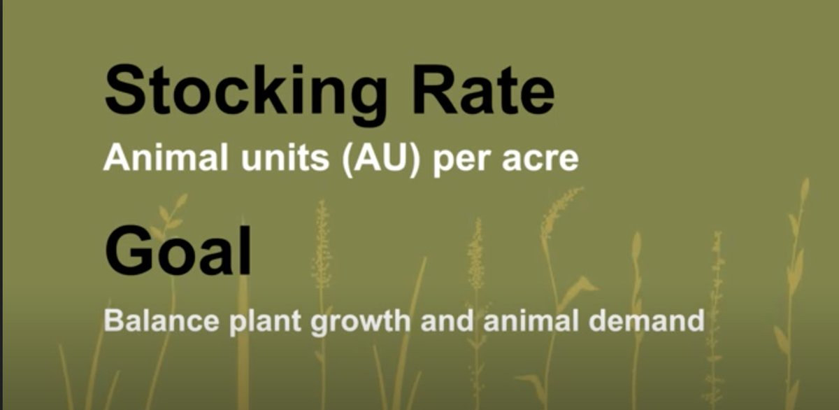 NC State Forage & Grassland Management tweet media