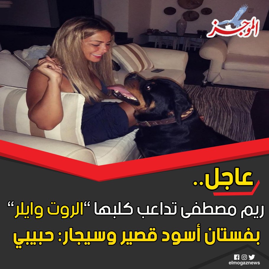 ريم مصطفى تداعب كلبها ”الروت وايلر” بفستان أسود قصير وسيجار حبيبي شاهد من هنا