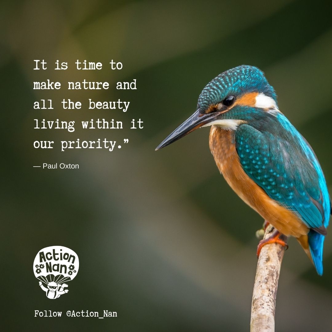 Action Nan tweet media