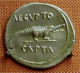 romanarchaeouk's tweet image. A wolf suckling Romulus &amp;amp; Remus was not the only animal to be found on the reverse of Roman coins.