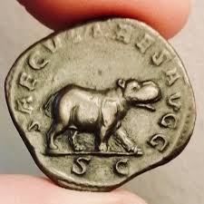 romanarchaeouk's tweet image. A wolf suckling Romulus &amp;amp; Remus was not the only animal to be found on the reverse of Roman coins.