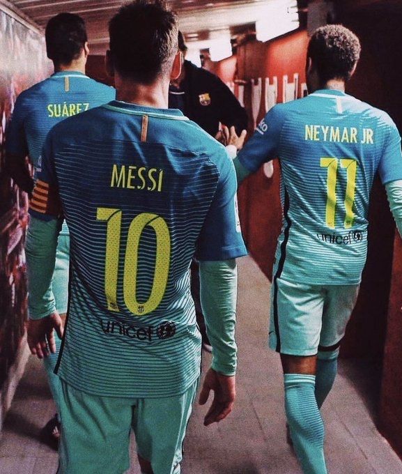 MSN 🚀