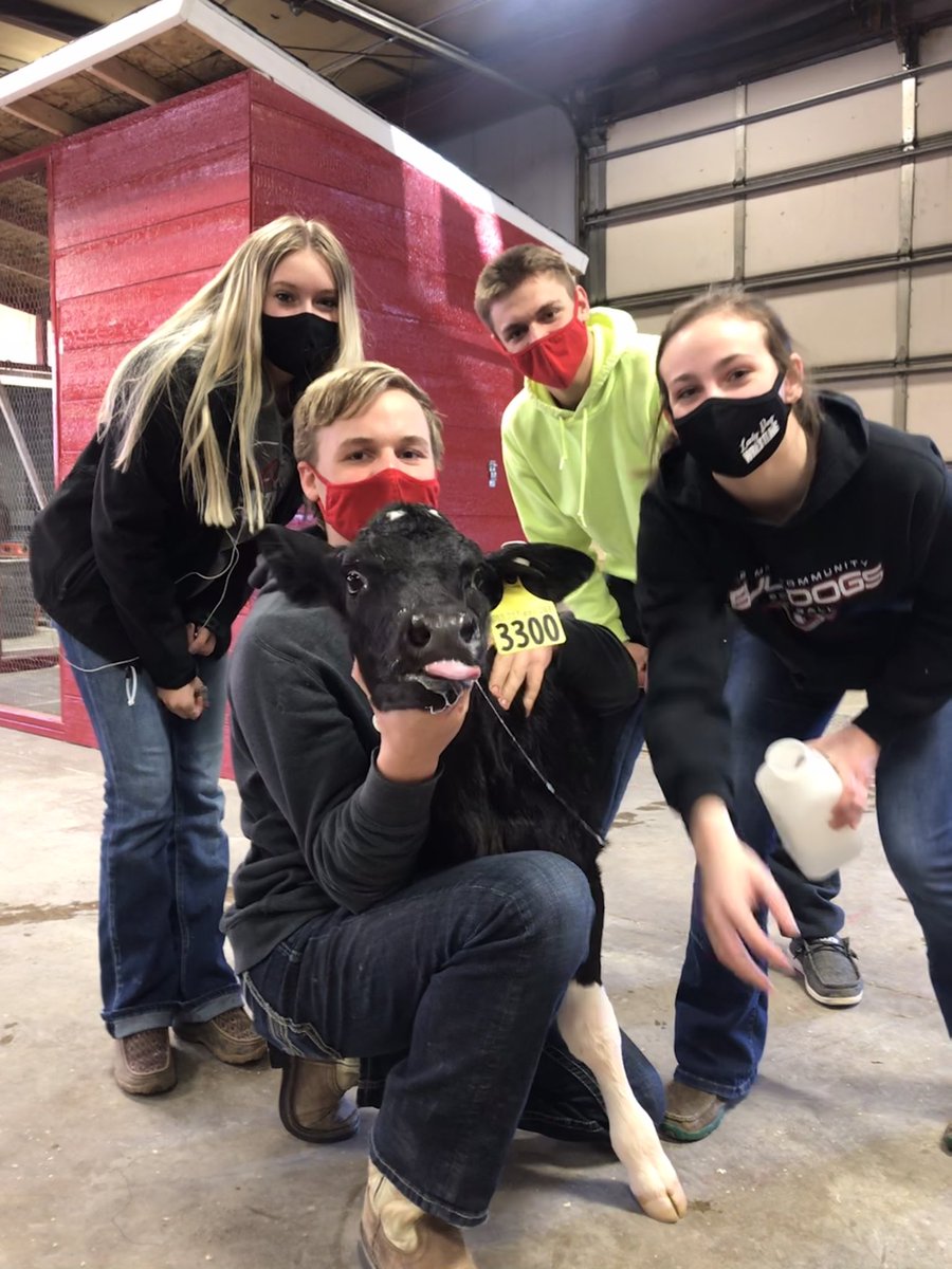 ffa_lemars's tweet photo. Kicking off National FFA Week by introducing our newest members to the Le Mars Ag Program! Excited to have a full Animal Learning Center this spring! https://t.co/xjfWyjBJYn