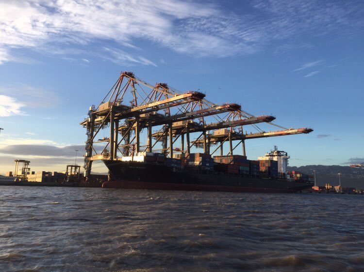 PortAuthorityJa's tweet photo. It’s a good morning 🌞 at the #PortofKingston!

#PortAuthorityJa #KFTL https://t.co/amYPm45CQF