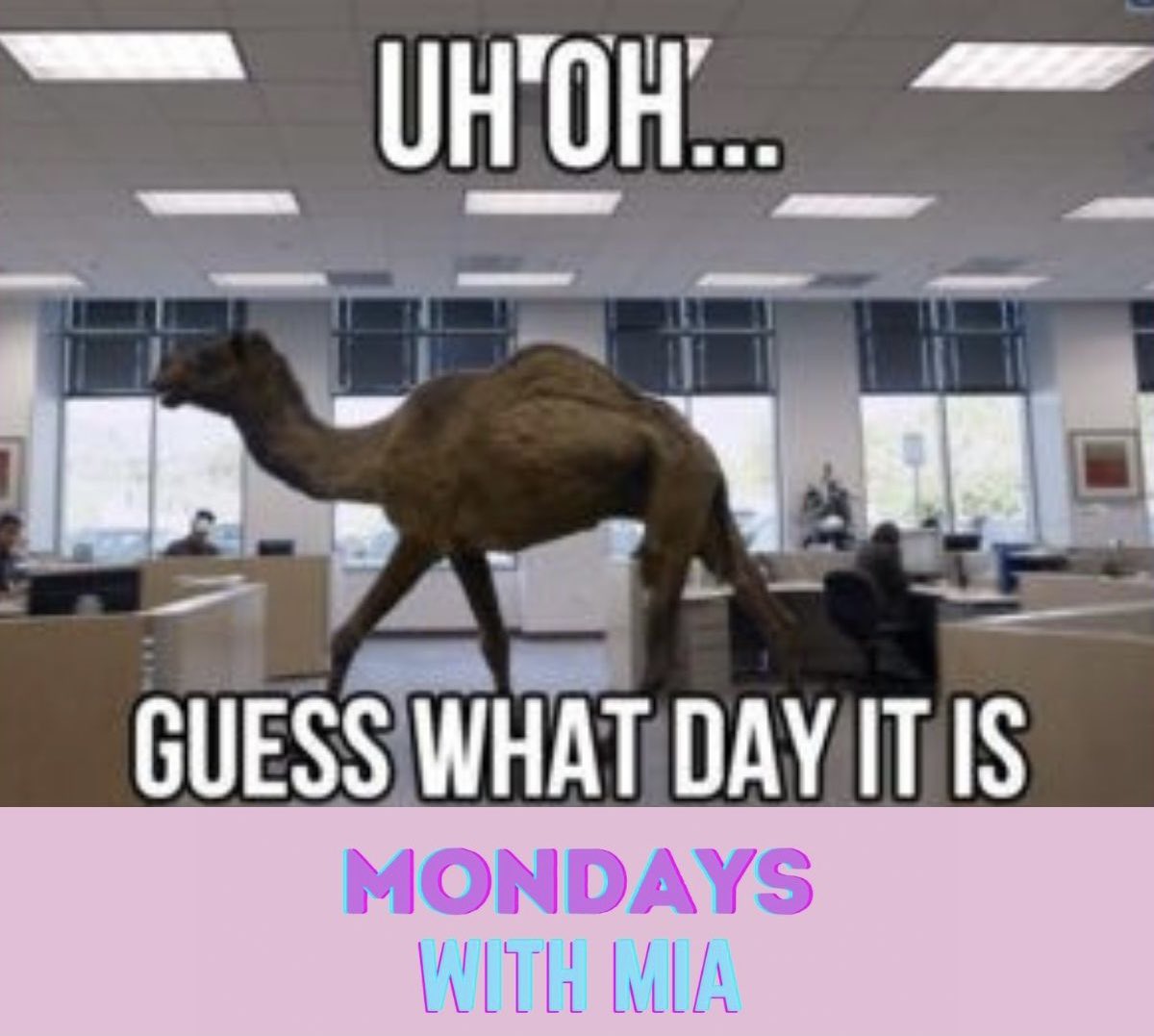 youtu.be/5w6XSh3ZmQc