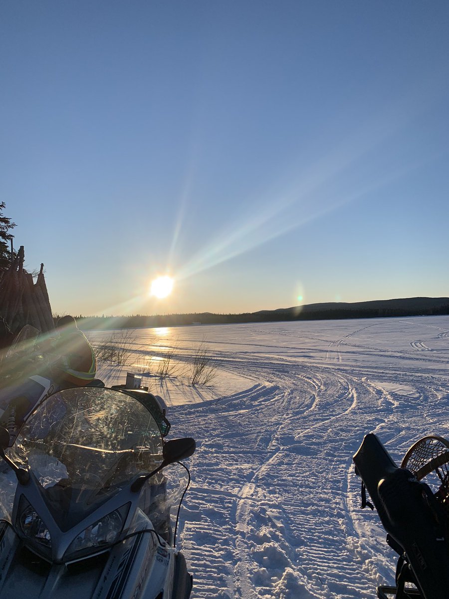 ShaneMorgan17's tweet photo. We may be on lockdown and restricted to bubbles but we still need to get out and get moving to maintain not only our physical health but also our mental health! #MyWeekend #LargeLabradorDay #GetOutdoors https://t.co/RCHNzRrjI8