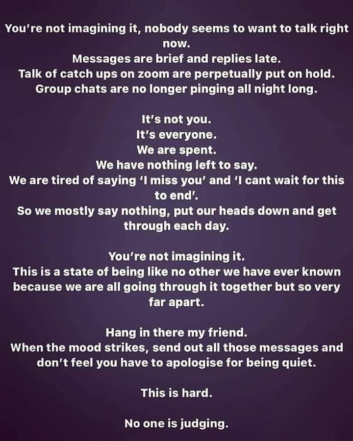 SteveCoville's tweet image. 