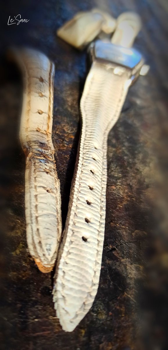 le_saac's tweet photo. Elegant, unique watch strap made of nutria leather. Stylish look!🕶
#crafts #leather #handwork #handworkdesign #handmade #unique #handmadecrafts #design @le_saac #style #accessories #womanstyle #watchstrap #fashionable #elegant #elegantstyle #watch #watchband #leatherstrap https://t.co/eT25z7vJBN