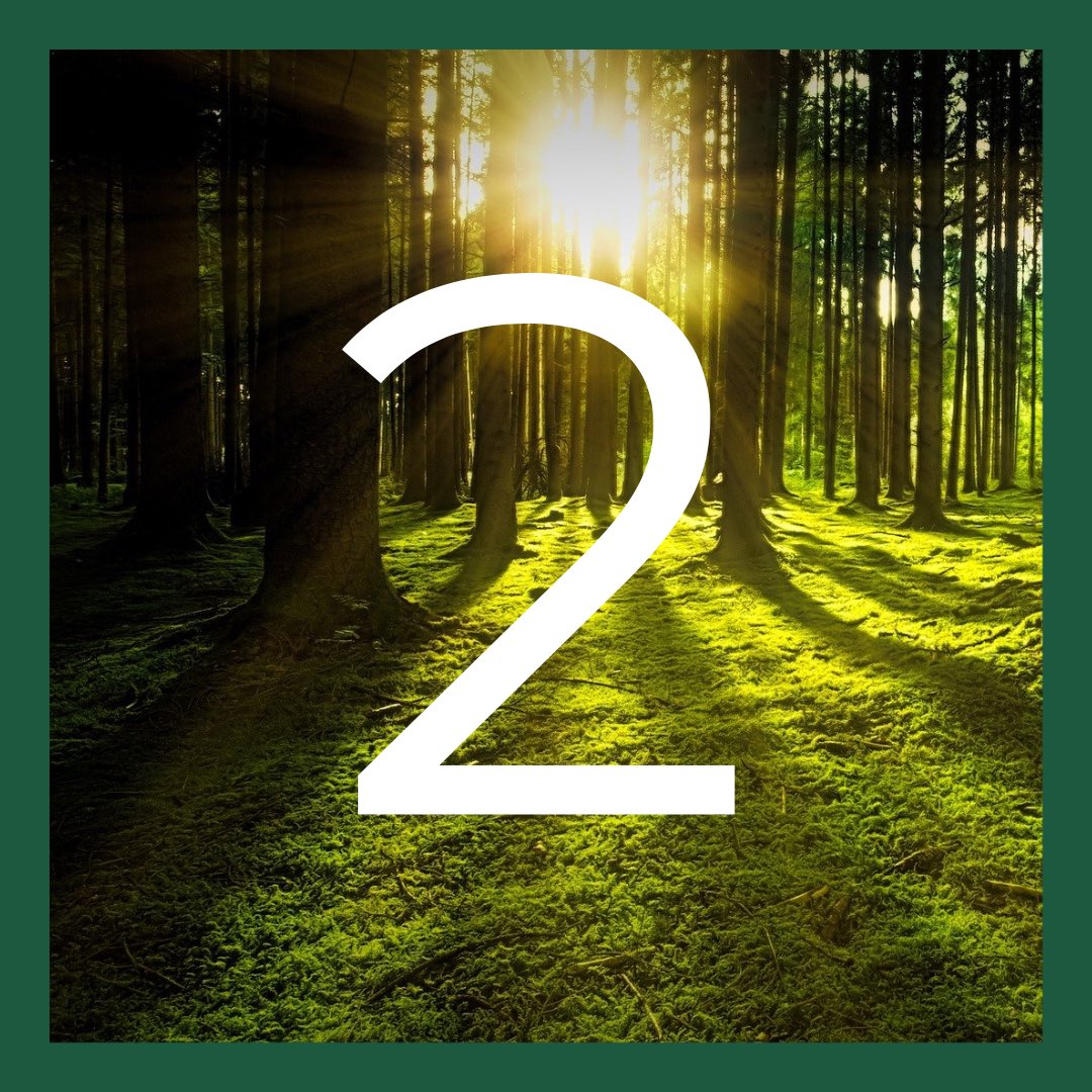 After 3 years in the making, the countdown begun yesterday...

Not long to go now until the official first release of the Greenleaf app 🥳🥳 

...and are we excited!

#applaunch #footprinttracking #earncredit #findgreenbusinesses #rewards #offers
#sustainability #environment