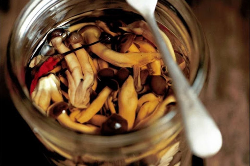 отравление консервированными грибами