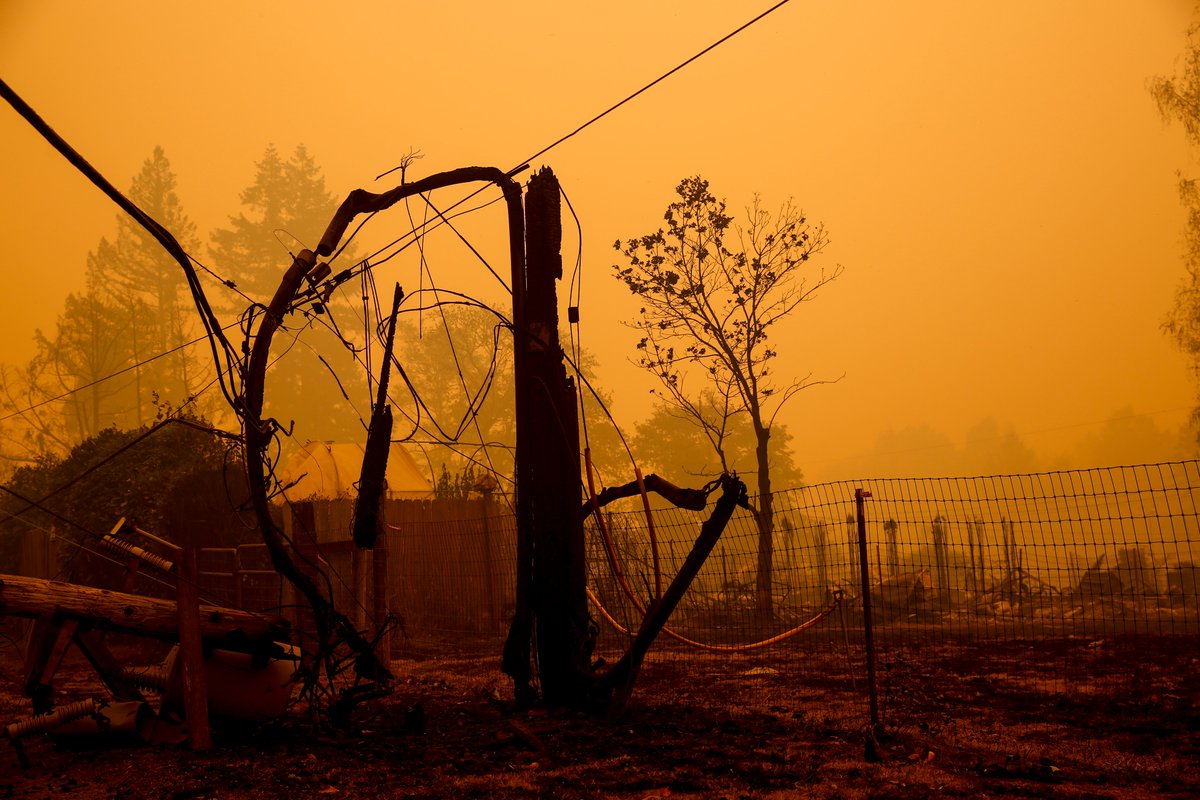 ZachsORoutdoors's tweet photo. Oregon's power lines have been at the center of two disasters: wildfires and mass outages. I wrote about what could be done, from burying them underground to "hardening" with metal poles &amp; tree lines. But also looked at why it hasn't happened.

Story: https://t.co/VOomCRd7Gn https://t.co/fEOSV2HCo6