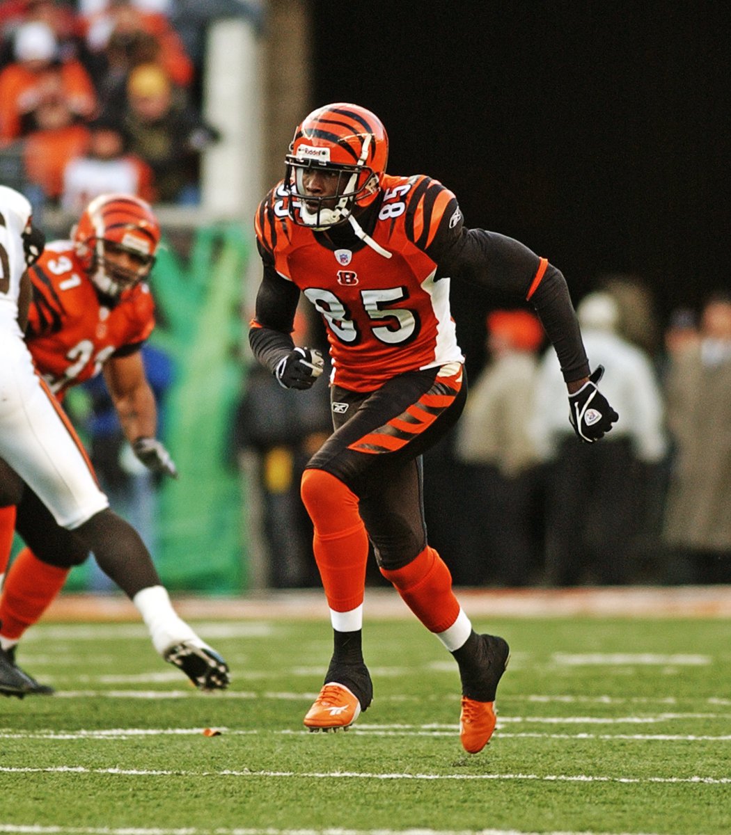 Bengals tweet picture