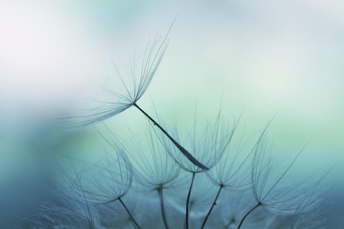 kepnertregoe's tweet image. Research shows that the vast majority of those who experience stress in times like #COVID19 will also experience growth, creating space for both pain and gain in your organization. Here's ways to prepare your organization for #PostTraumaticGrowth: bit.ly/3ujxblw