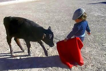 AlbertoRSaeta's tweet photo. El Comité de los Derechos del Niño, evalúa el cumplimiento de la Convención sobre los Derechos del Niño de la ONU, está en contra de que España permita que menores participen y asistan a eventos taurinos. Por eso queremos #LeyInfanciaSinExcepciones @sanchezcastejon
@carmencalvo_ https://t.co/Zn7RTXpjzF
