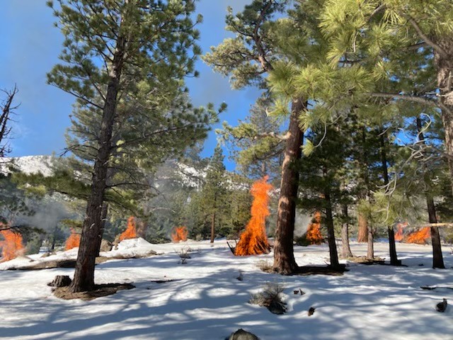HumboldtToiyabe's tweet photo. Fire crews continue work today in the #MillProject, located southwest of Walker, CA on the Bridgeport Ranger District. Smoke may be visible from Hwy 395 near Walker, please do not report.
To learn more about prescribed fire on the forest, visit https://t.co/reDDjeVNtk.
#GoodFire https://t.co/WGqdVeonpT