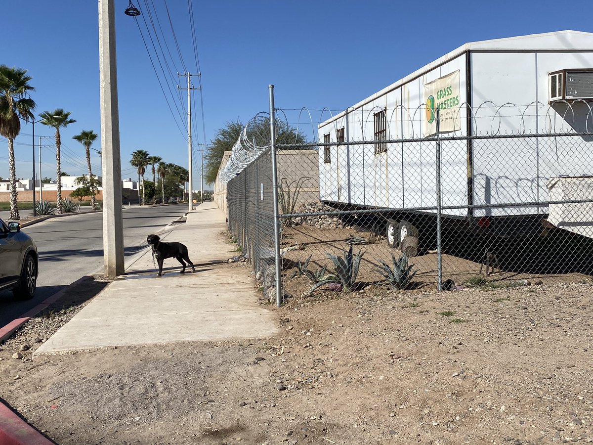 michelleriveraa's tweet image. Le pueden decir al dueño de #GRASSMASTERS  Navarrete final pasado gastropark ¿que si no quiere a ese perrito me lo regale?

Es INAUDITO tenerlo encadenado, tratando de mitigar el sol en el poste y con nada agua 

¡Pásenle mi mensaje por favor!