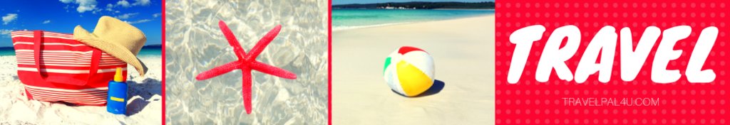 Travel Pal tweet media