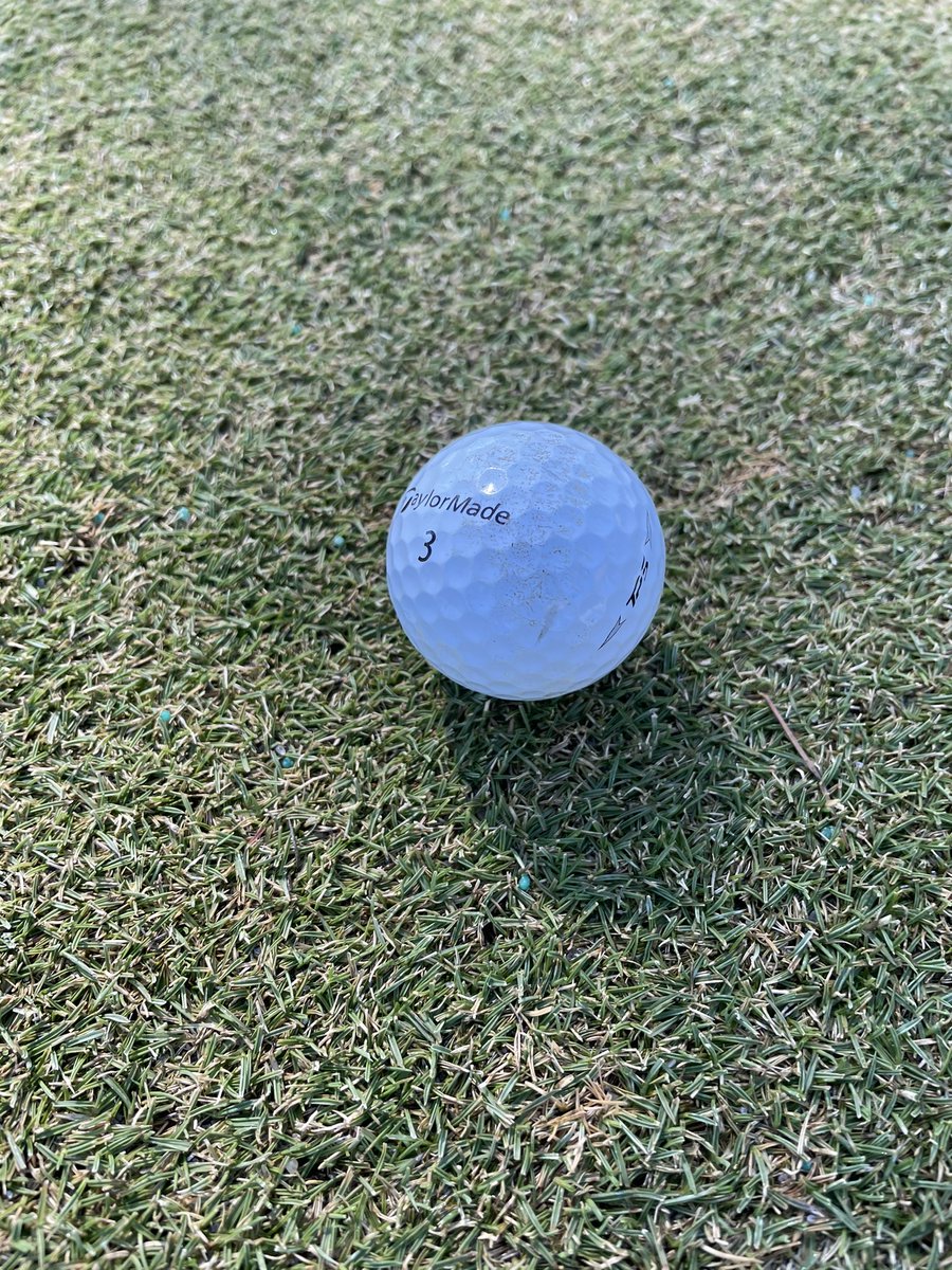 BluejackNatTurf's tweet photo. No covers Trinity Zoysia https://t.co/VCCQT9WxRw