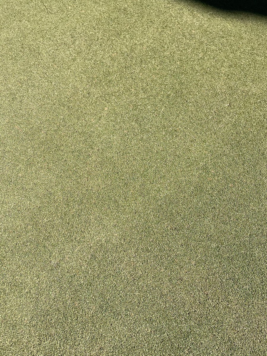 BluejackNatTurf's tweet photo. No covers Trinity Zoysia https://t.co/VCCQT9WxRw