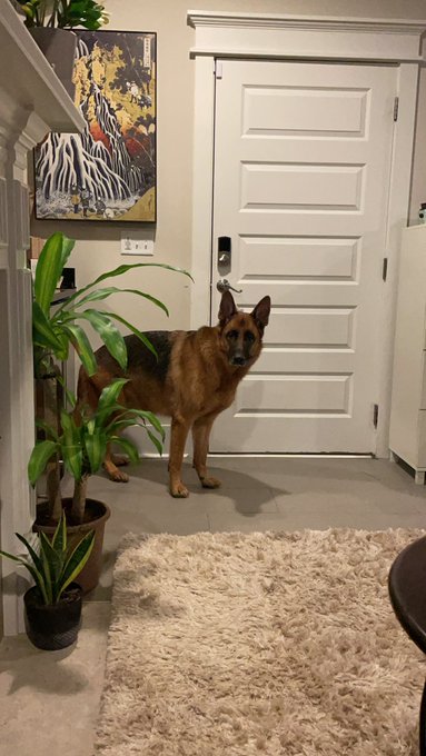 Watch Eva Lovia®'s leaked NSFW photo on TwXstars