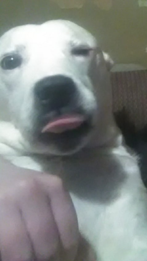 Danny Robb (@robb_danny) on Twitter photo 