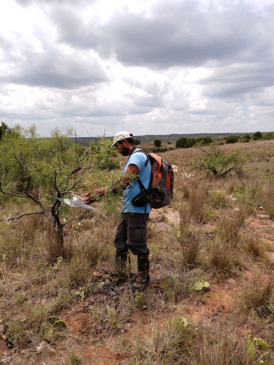 BioBlitz! Oklahoma tweet media