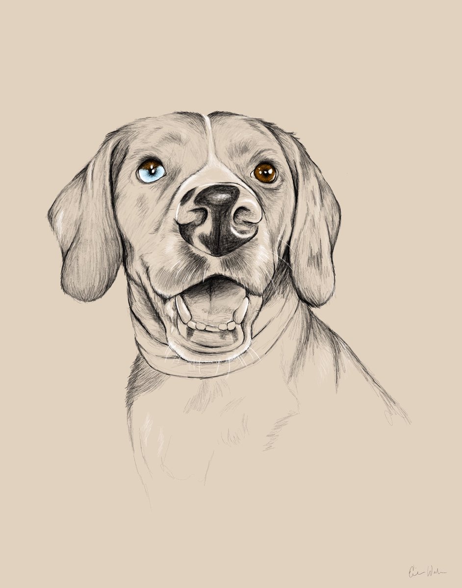 erinwdesign's tweet photo. Finished up some puppy portraits!! 🖤🐶 https://t.co/DZE8WuM6Vq