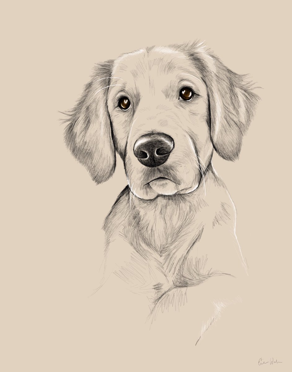 erinwdesign's tweet photo. Finished up some puppy portraits!! 🖤🐶 https://t.co/DZE8WuM6Vq