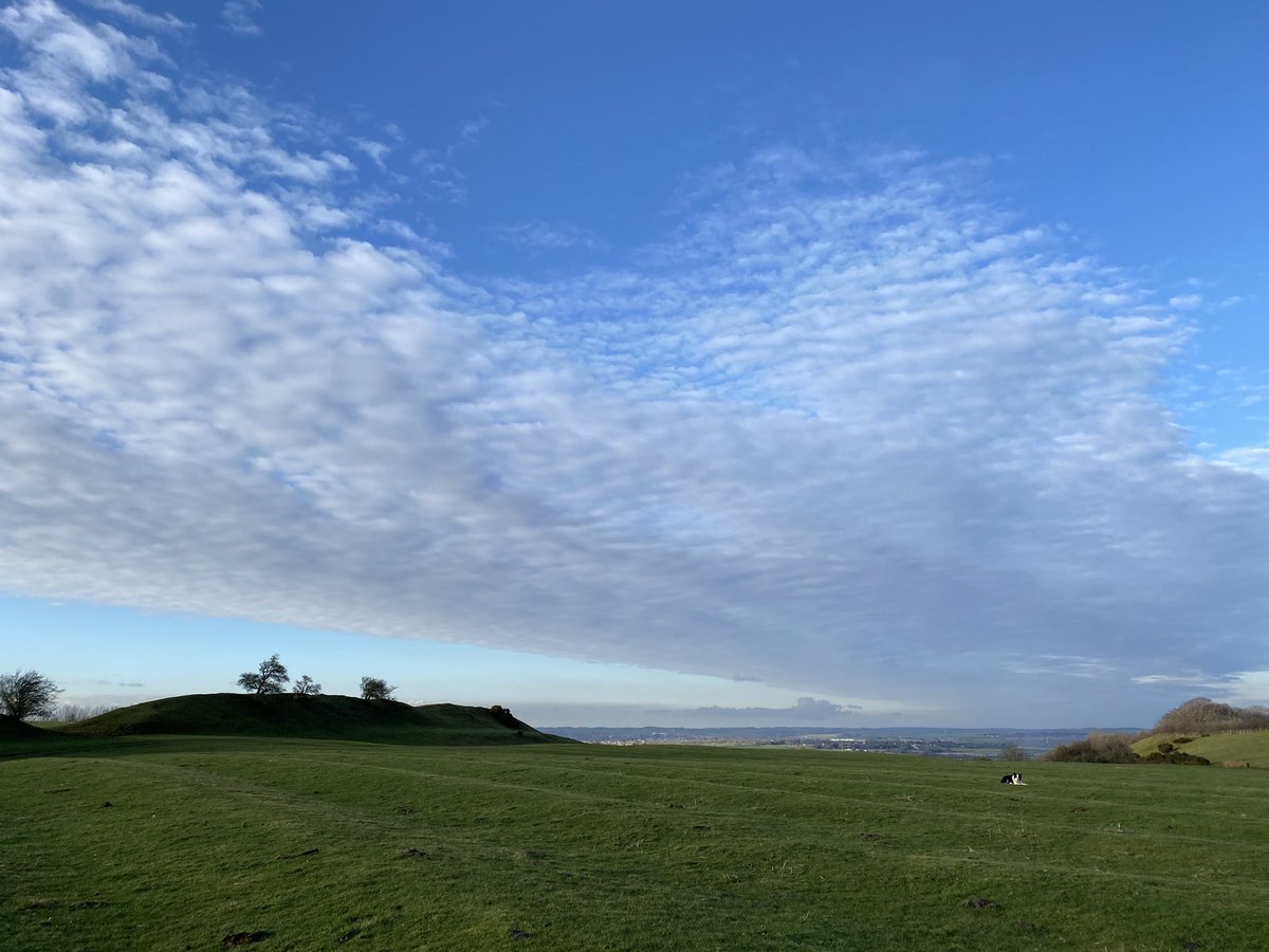 Burrough Hill tweet media