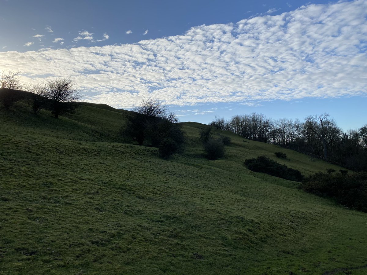 Burrough Hill tweet media