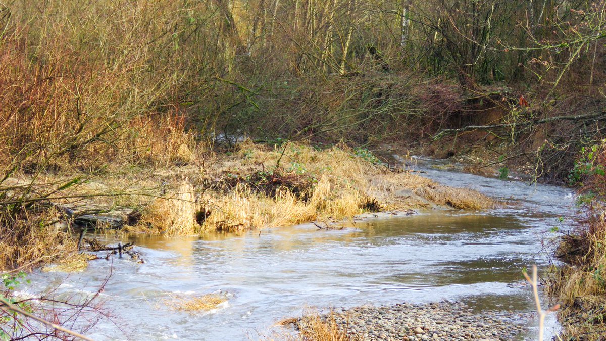 BC ARDCorp tweet media