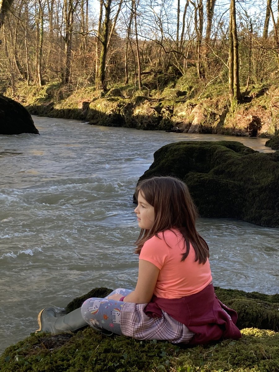 DylanBeefy's tweet photo. This is becoming a regular thing now, a quick walk down to the river. #cothi https://t.co/KqrQt4Dv8R