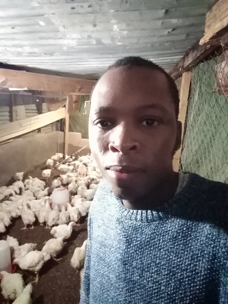 elias_mankwe's tweet image. I'm one of those young entrepreneurs who are trying their best to make a living, and hopefully one day my dreams of being a well established farmer will come true. The struggle continues... 👨🌾
#YoungAndFarming