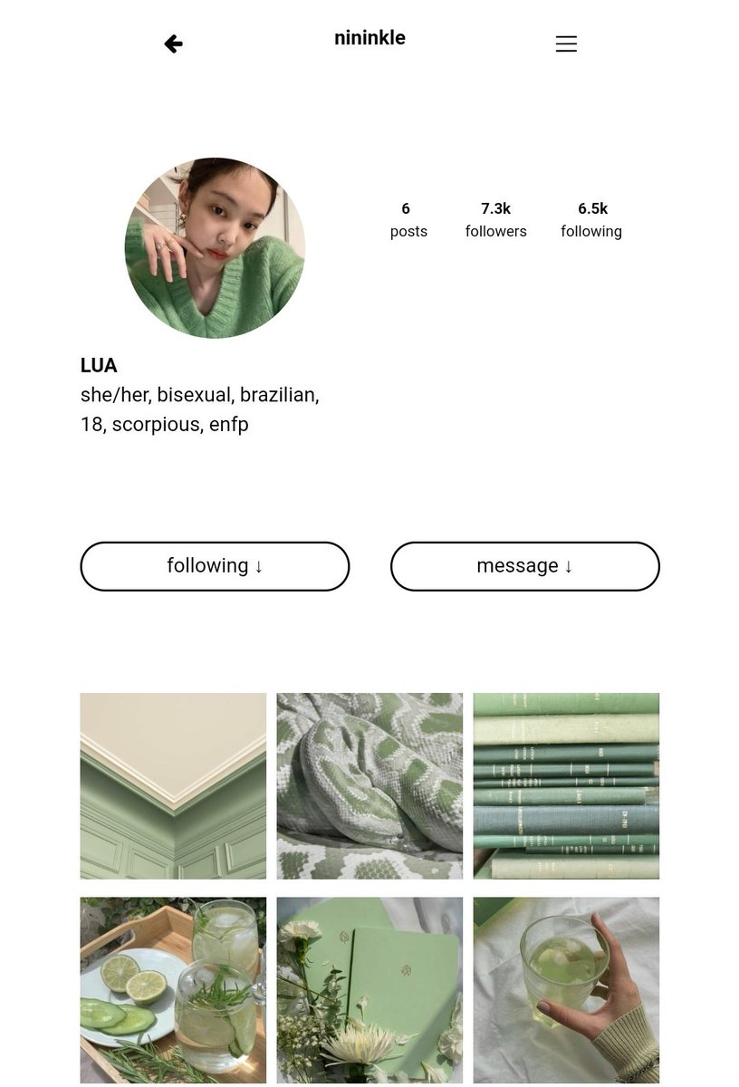 nininkle's tweet photo. como fazer um carrd estilo Instagram; a thread https://t.co/GJEokgGeYg