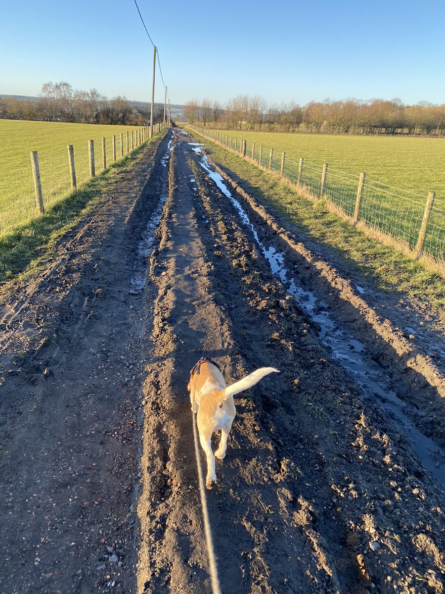 h_e_martin's tweet photo. Lovely post-work walk tonight. Definitely feeling like spring is on the way 🌼🐑🌅 #SpringIsComing #workingfromhome https://t.co/J3xYUAEID3