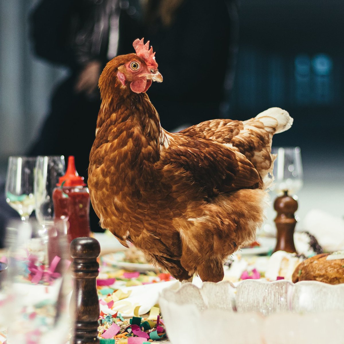 Delta_Groupe's tweet image. 26.02.2021
Notez bien la date, Drama arrive 😏
.
.
.
#nouveauté #2021 #Delta #pop #onvousgâte #chansonfrançaise #cestdubelge