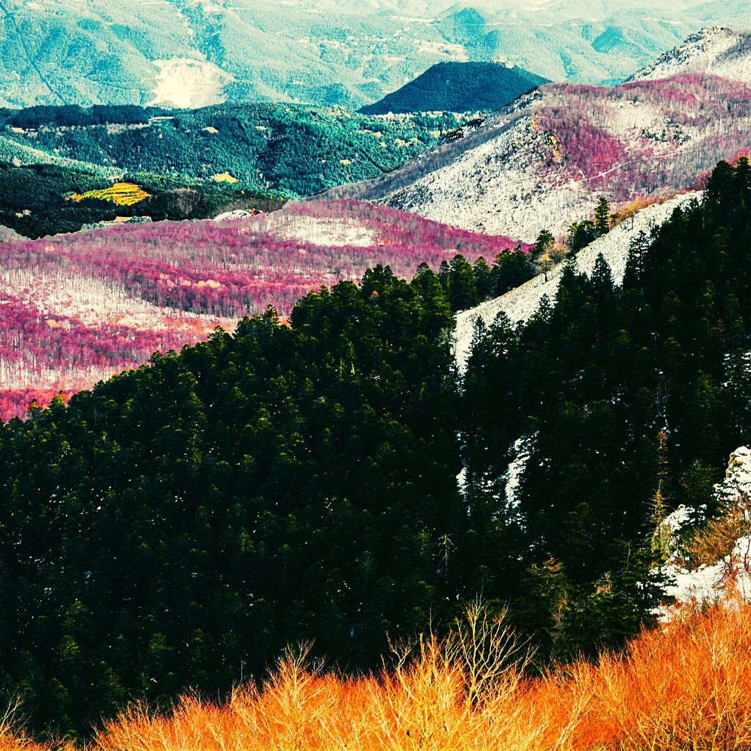 KWSantaFeStyle's tweet image. BEAUTIFUL, Santa Fe ❤️❤️

 #movingtosantafe #newmexicotrue #thecitydifferent #landofenchantment #KWCEO #santaferealestate #kellerwilliams #chooseKW #KWknowsbest