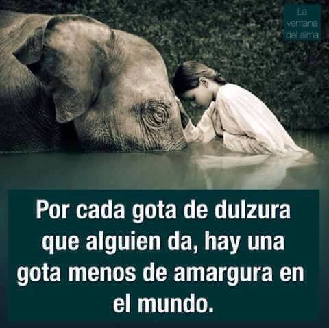 GEDVAnimal's tweet photo. ❤ https://t.co/KR7uDkFCps