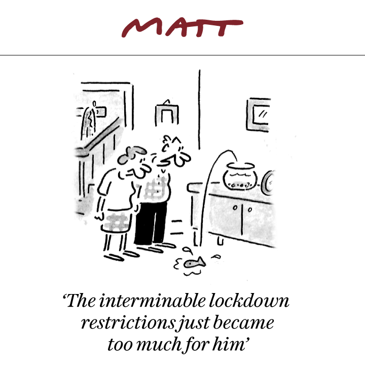 MattCartoonist's tweet image. 🐠🐠🐠🐠🐠

My latest cartoon for tomorrow's @Telegraph 

Subscribe to my weekly newsletter to receive my unseen cartoons: telegraph.co.uk/premium/matt/?…